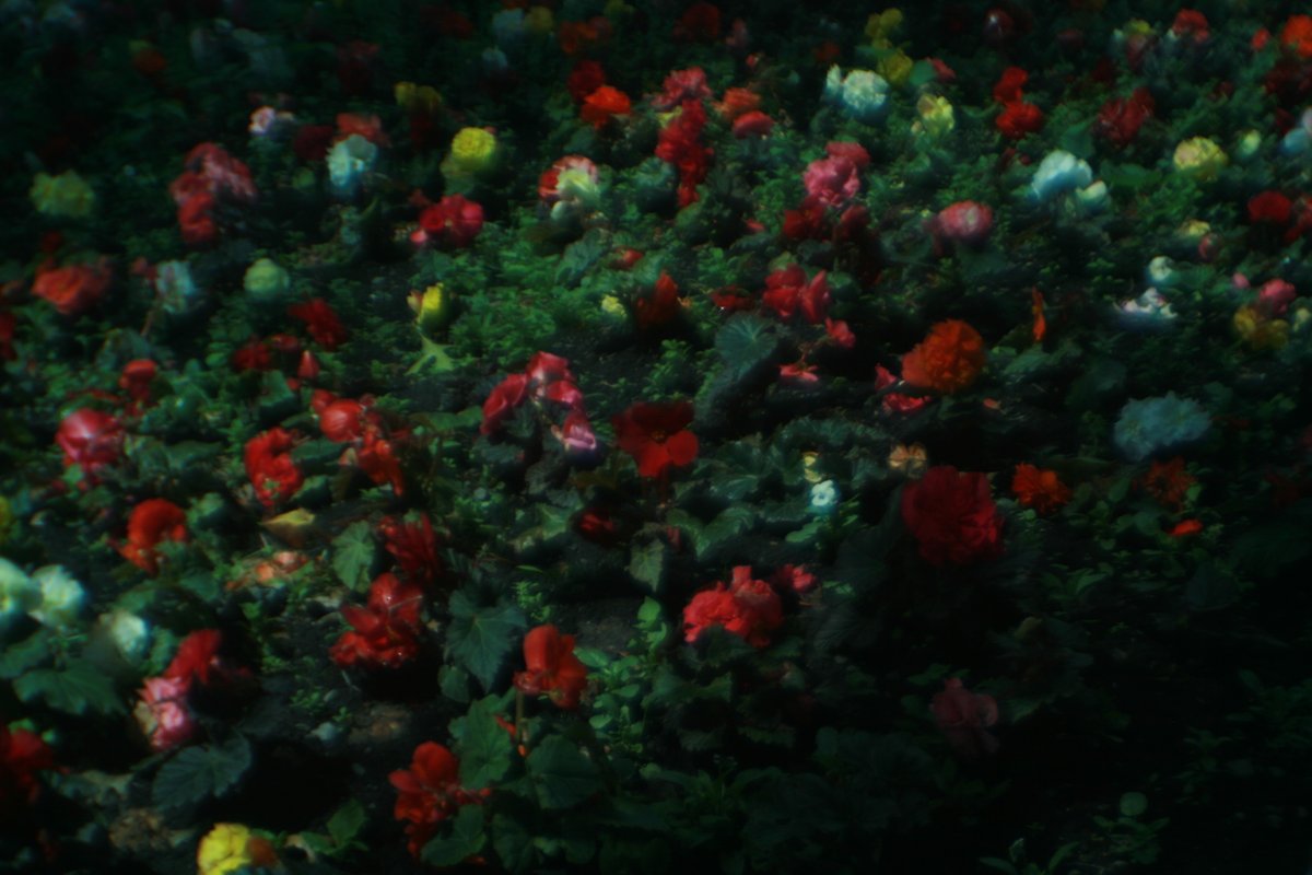 I'm just sitting watching flowers in the rain
Feel the power of the rain
Making the garden grow