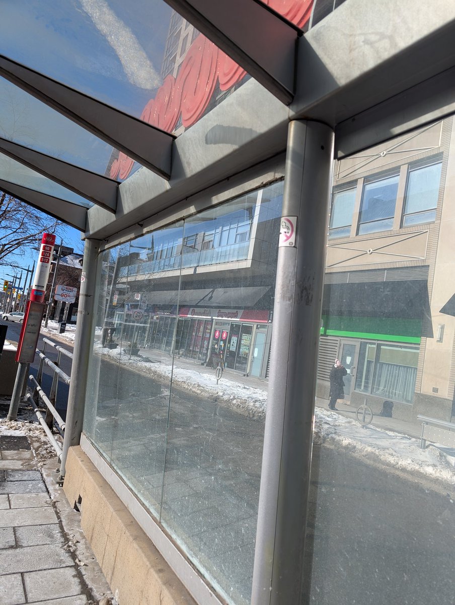 🌈Popcorn’s Scratch Pad 🐾 tweet media