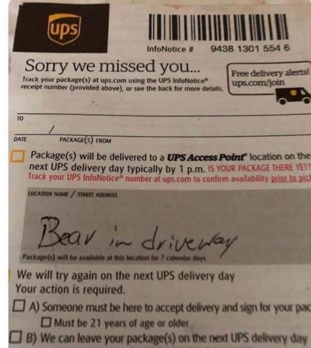 ThatEricAlper's tweet image. Meanwhile, in Canada...