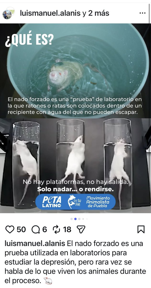 Arturo Luna Silva tweet media