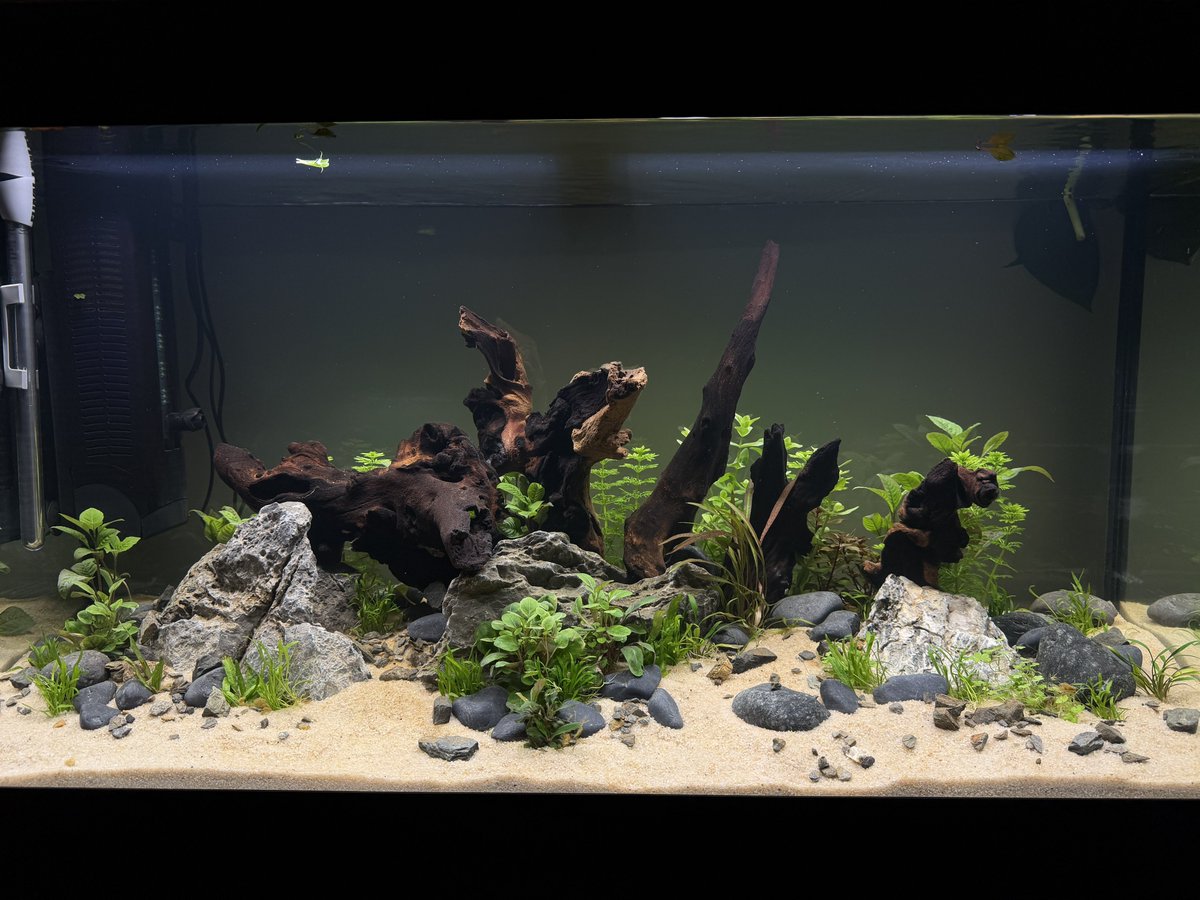 🥹 Jack 🥹 tweet media