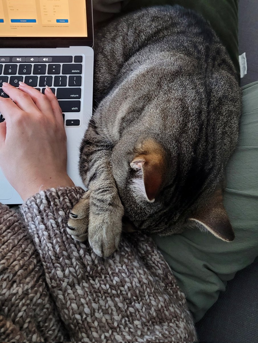 work setup for the day 💓