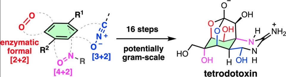 Total Synthesis tweet media