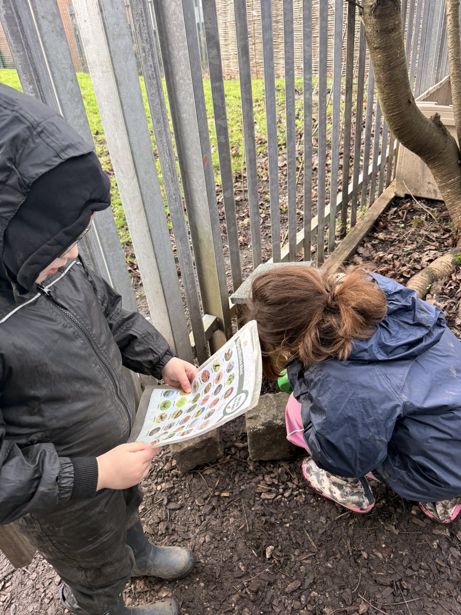 Miss Cohen tweet media