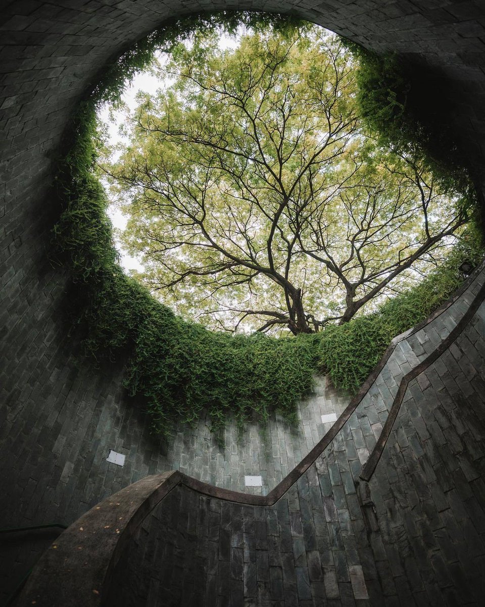 ᅠ ᅠ (@greendreaams) on Twitter photo 