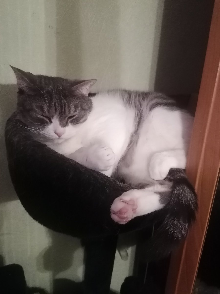 Елена tweet media