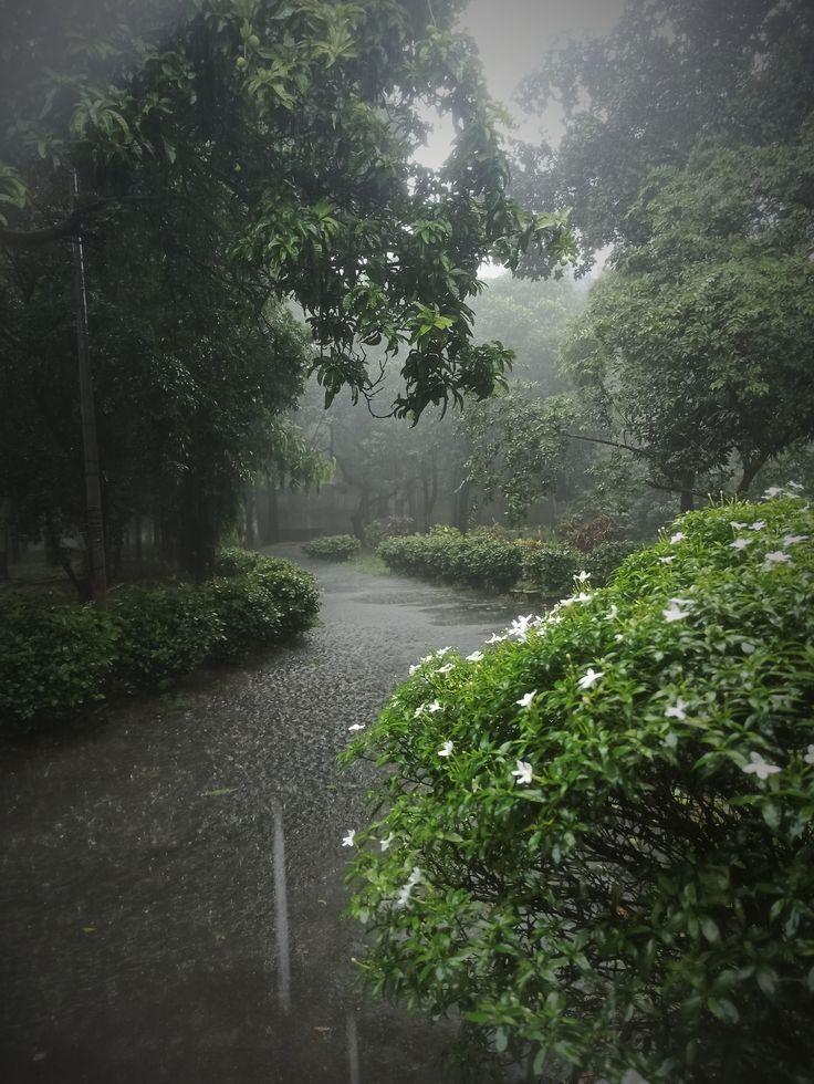 ᅠ ᅠ (@greendreaams) on Twitter photo 