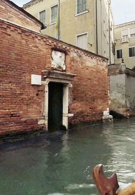 ๐๐๐ ๐๐ ๐ฝ๐ฆ๐ฃ๐ฃ๐๐๐ฅ๐๐ค tweet media