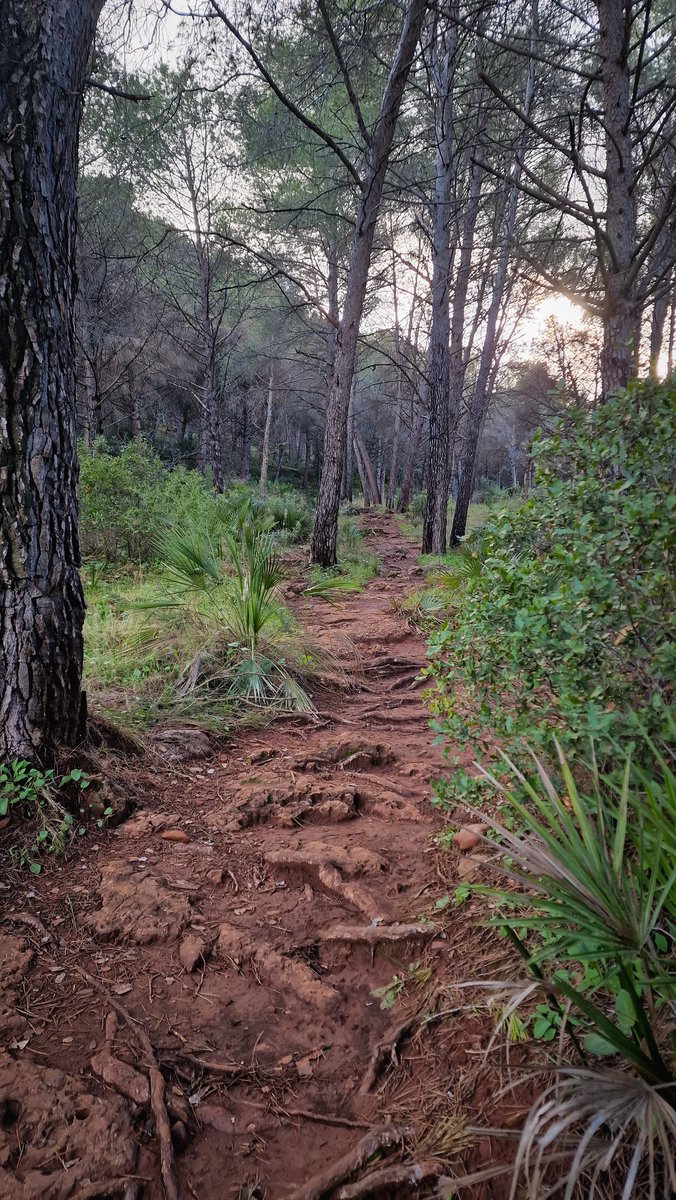 Juani Torres (@juani_torres_) on Twitter photo 