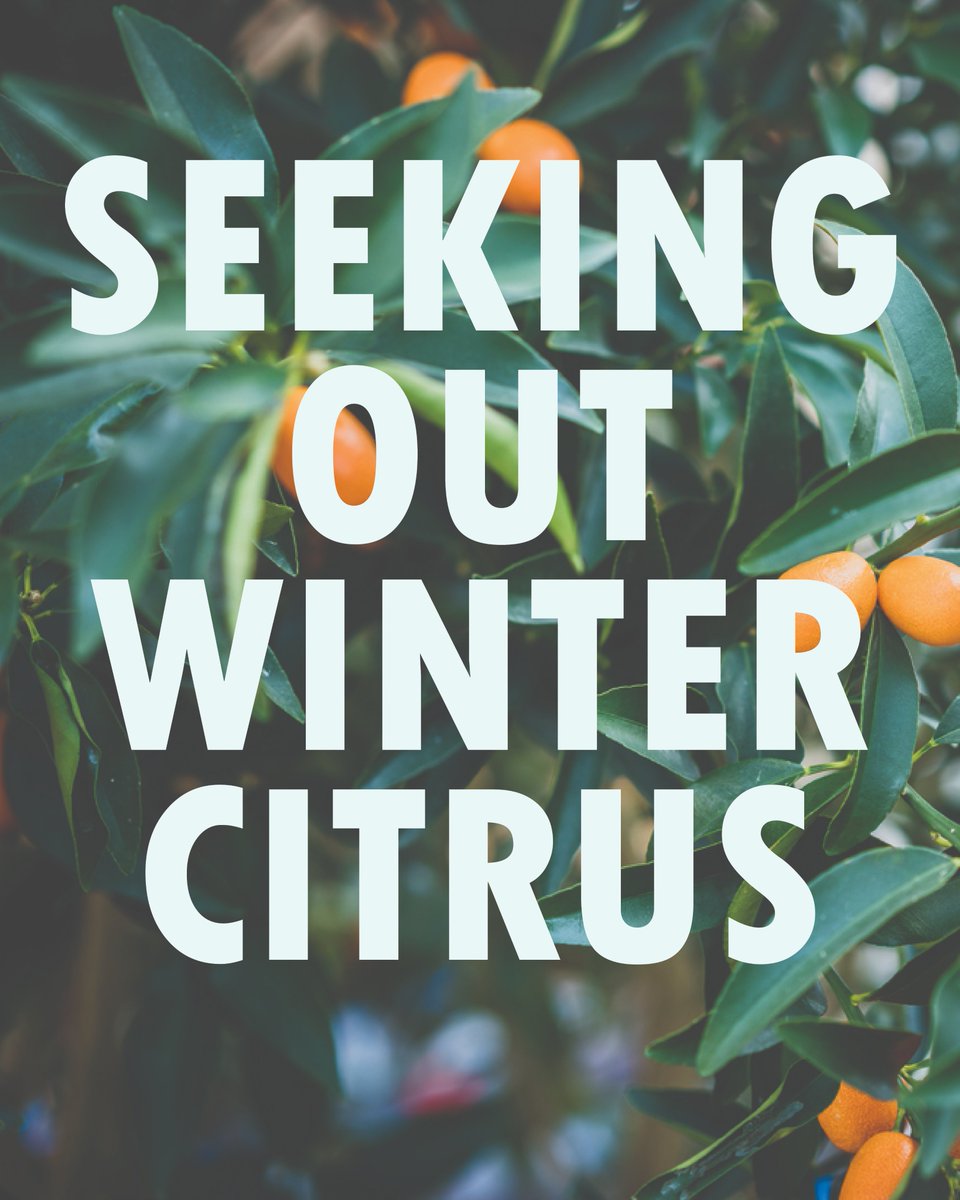 ValentBioStim tweet media