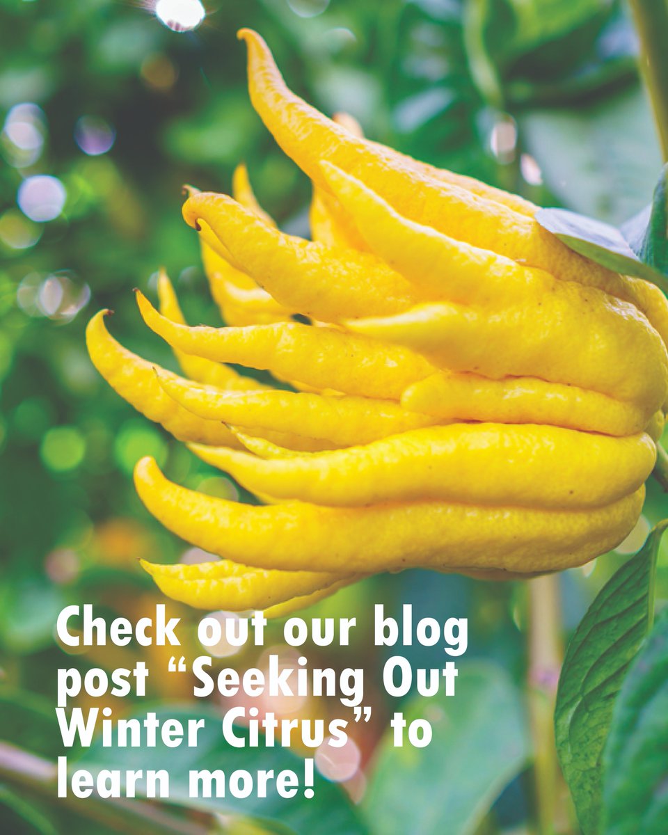 ValentBioStim tweet media