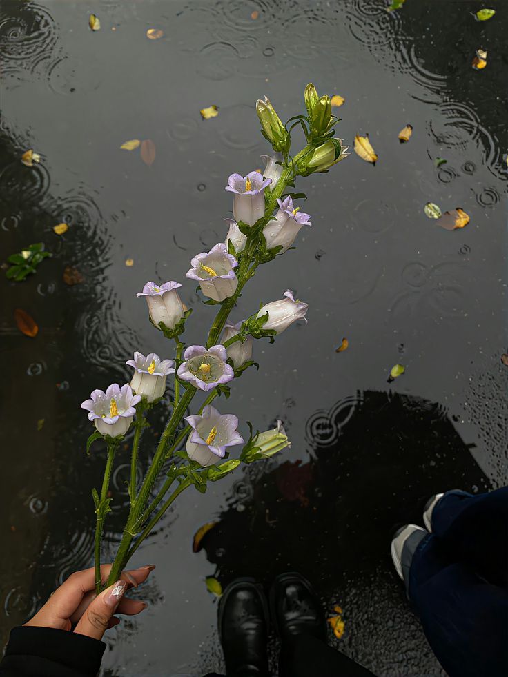 greenvibe's tweet image. 