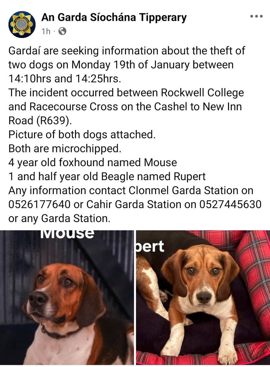 Lisa O' Connor (Animal Advocate) tweet media