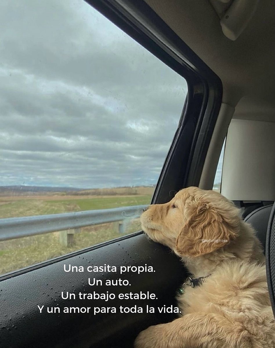 Escritos (@aquilolei) on Twitter photo 