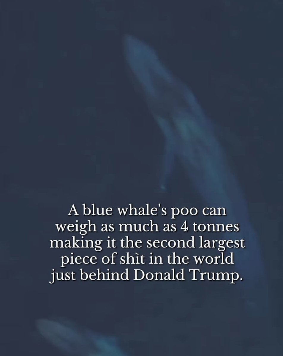 SaffronHawk's tweet photo. @realDonaldTrump https://t.co/z3SfOl1fVP