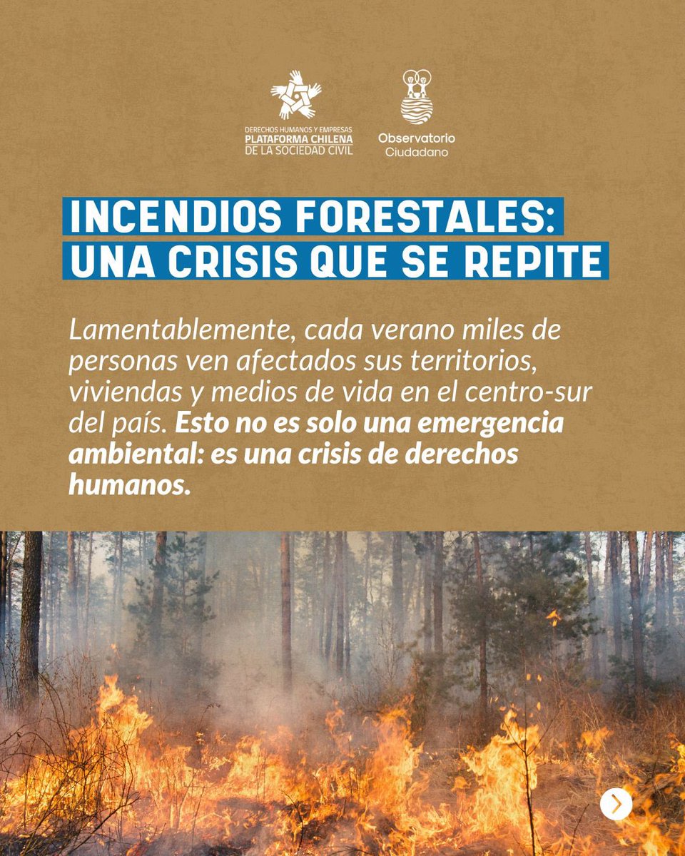 Observatorio Ciudadano tweet media