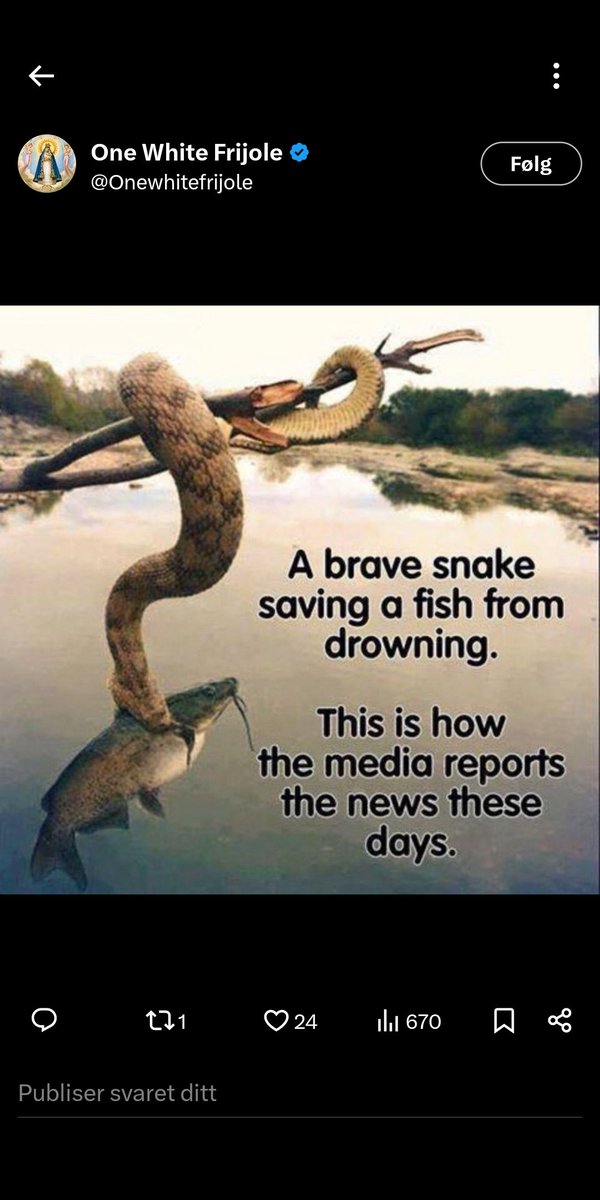 Thor Ishus tweet media