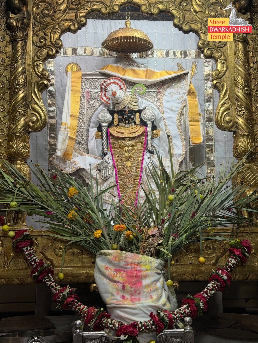 dr_rajpurohit's tweet image. राजाधिराज द्वारकाधीश जी के वसंत पंचमी उत्सव दर्शन।🙏🏻
श्री द्वारकाधीश मंदिर, द्वारका, (गुजरात)।
दिनांक: 23.1.2026 (शुक्रवार)
#Dwarka #vasantpanchami