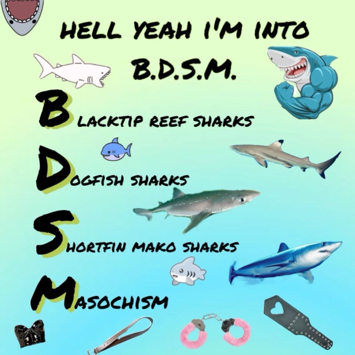 equine__dentist's tweet image. 