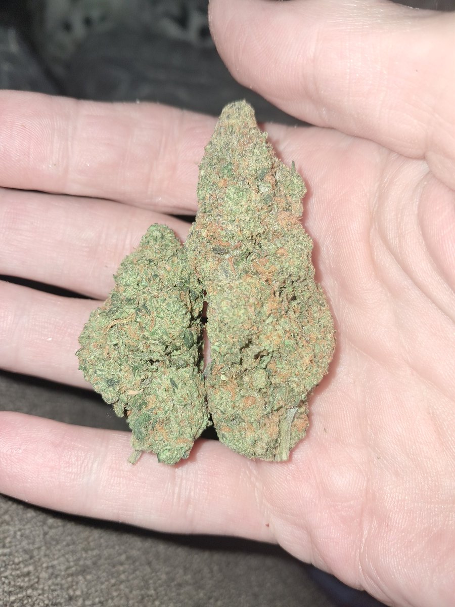 Smokes Alot💨 tweet media