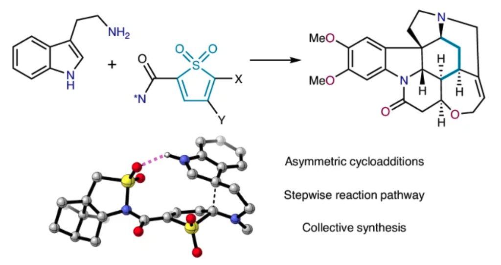 Total Synthesis tweet media