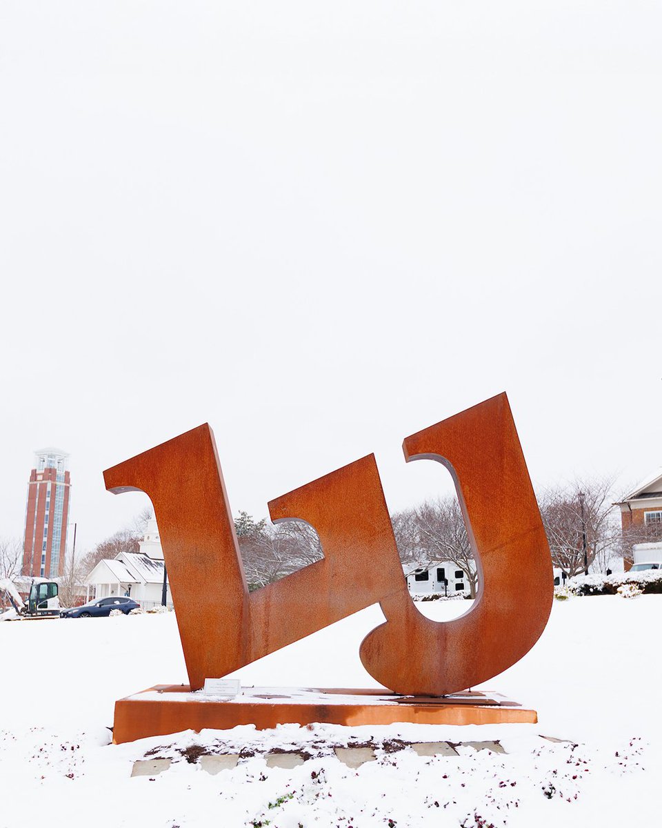 What courses are you most excited for this semester? 💻 Let us know in the comments below! 👇 #libertyuniversity #libertyuonline