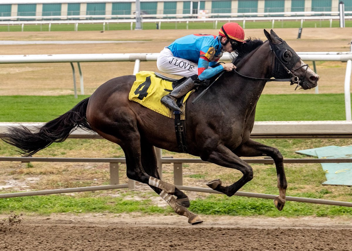 JohnGDooley's tweet image. 🎙️ “DOOLGAROUX’s got the first round!”

That was cool. A @louisianabred name born out of a night at @SantaFeNOLA with @JoeyDaKRacing and fun friends. Wins the Mile to start the “Fab Friday” card @fairgroundsnola with @jareth16 for @Foley_Racing at the historic New Orleans track!