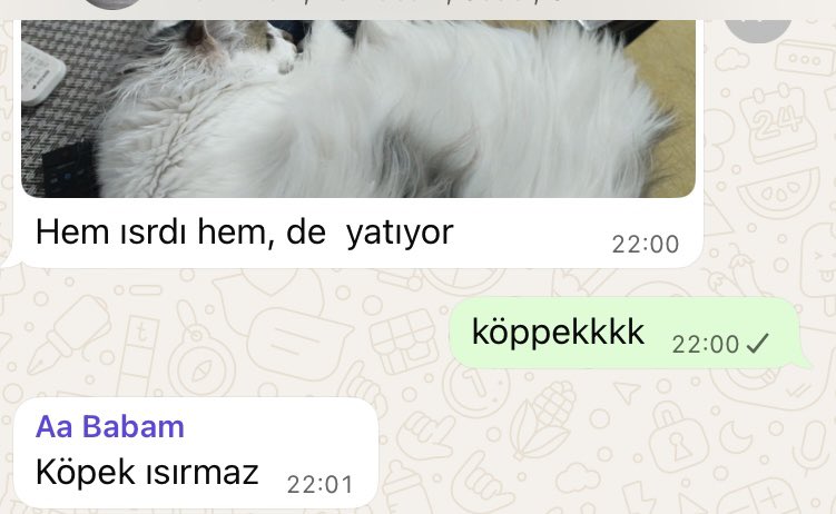 gizem tweet media