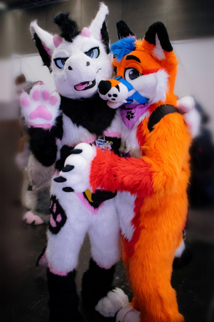 Sylderg's tweet image. I wanted to show you @FerfoxPluff's bandana, another proof that pink fits with everything, especially with adorable foxes 🦊🩷 

#furry #furryfandom #FursuitFriday