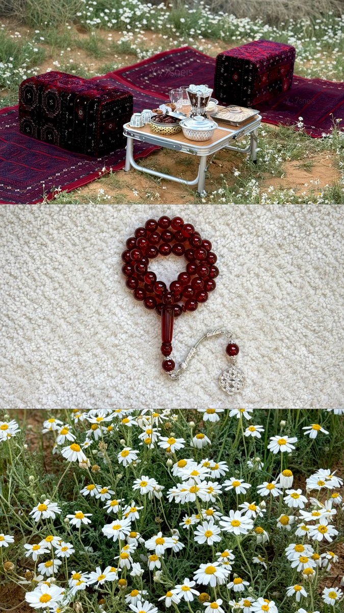 أحـمـد. tweet media