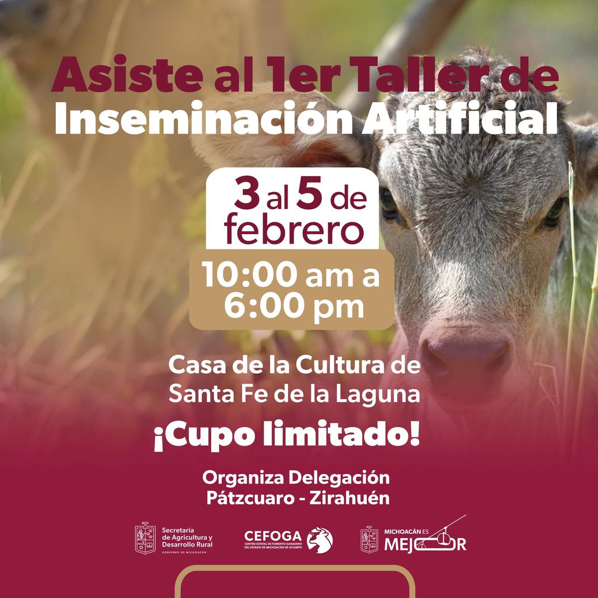 Asiste al 1er Taller de Inseminación Artificial en Santa Fe de la Laguna. 

Reserva tu espacio a través de la Delegación Regional Pátzcuaro - Zirahuén. 

¡Te esperamos! 

#MichoacánEsMejor
#GanaderíaRegenerativa