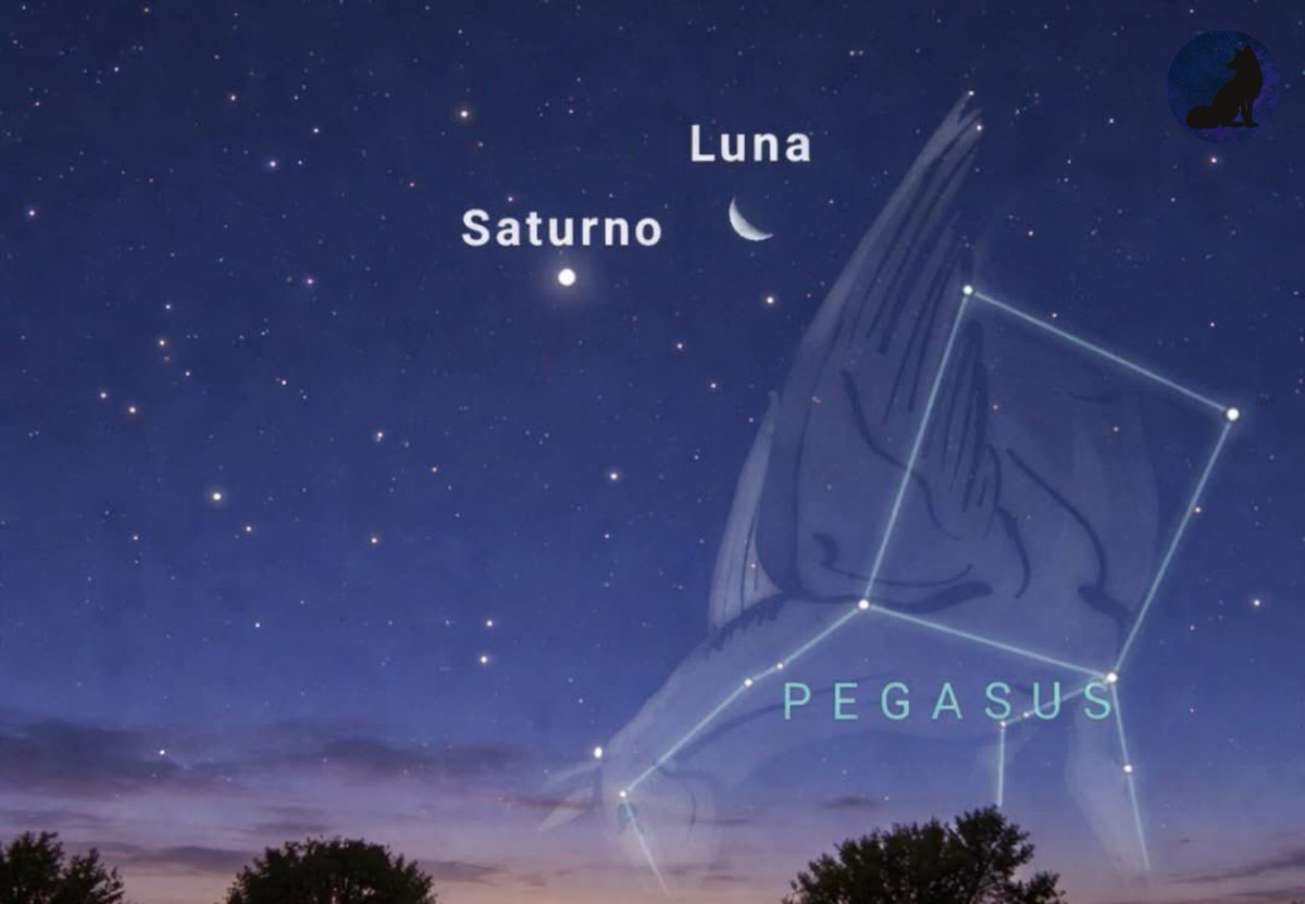 ⠀
🌕🪐 El día de hoy, después del atardecer, la Luna se verá muy cerca de Saturno, el planeta de los anillos, formando una llamativa conjunción.

🌌💫 Ambos objetos celestes brillarán juntos durante alrededor de dos horas, visibles a simple vista, sin necesidad de telescopio.
⠀