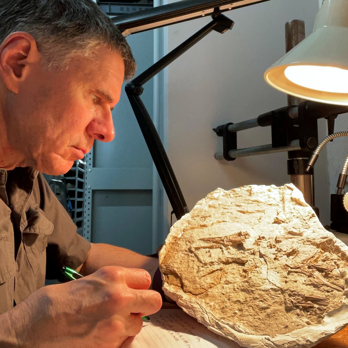 WitmerLab tweet media