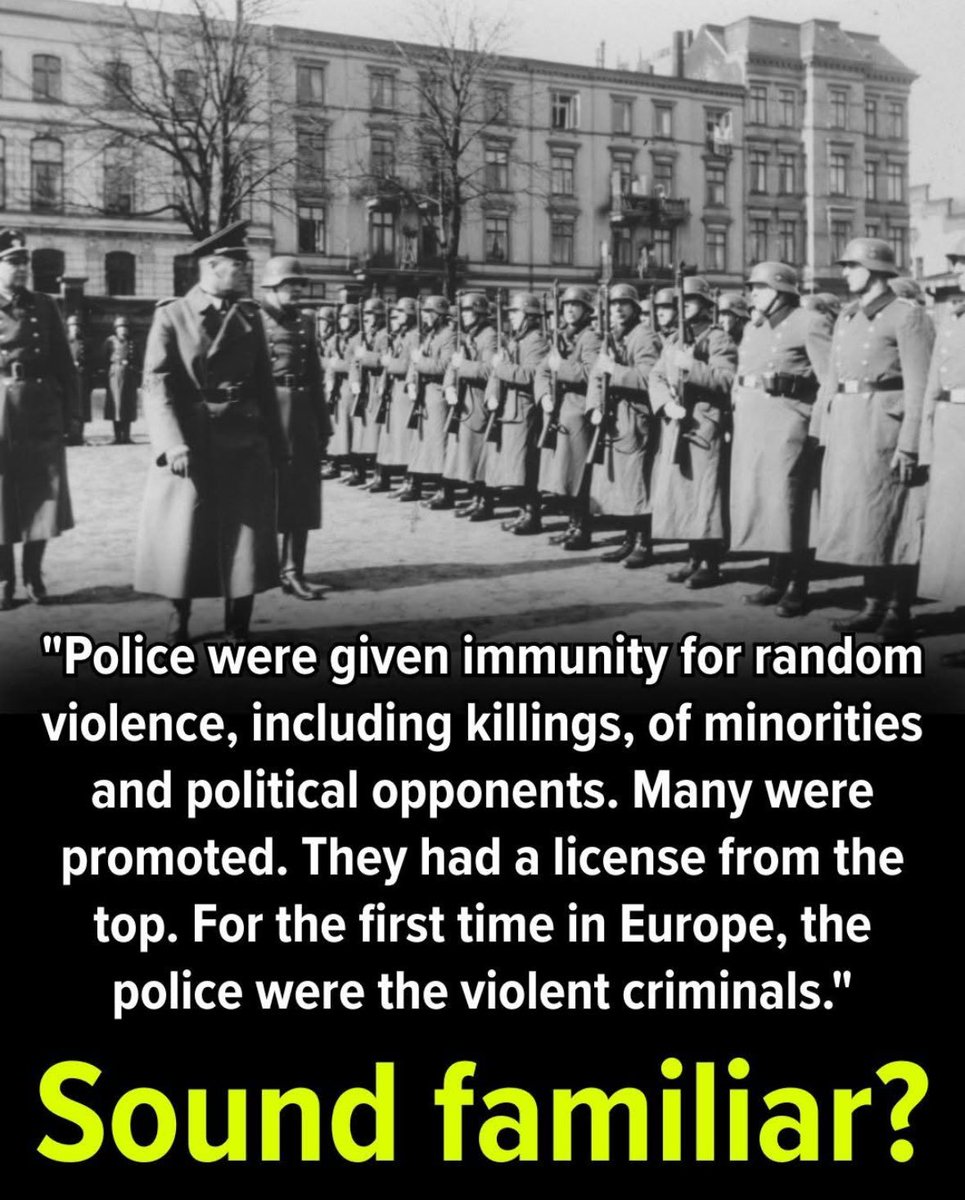 TruthMatters 🐸 tweet media