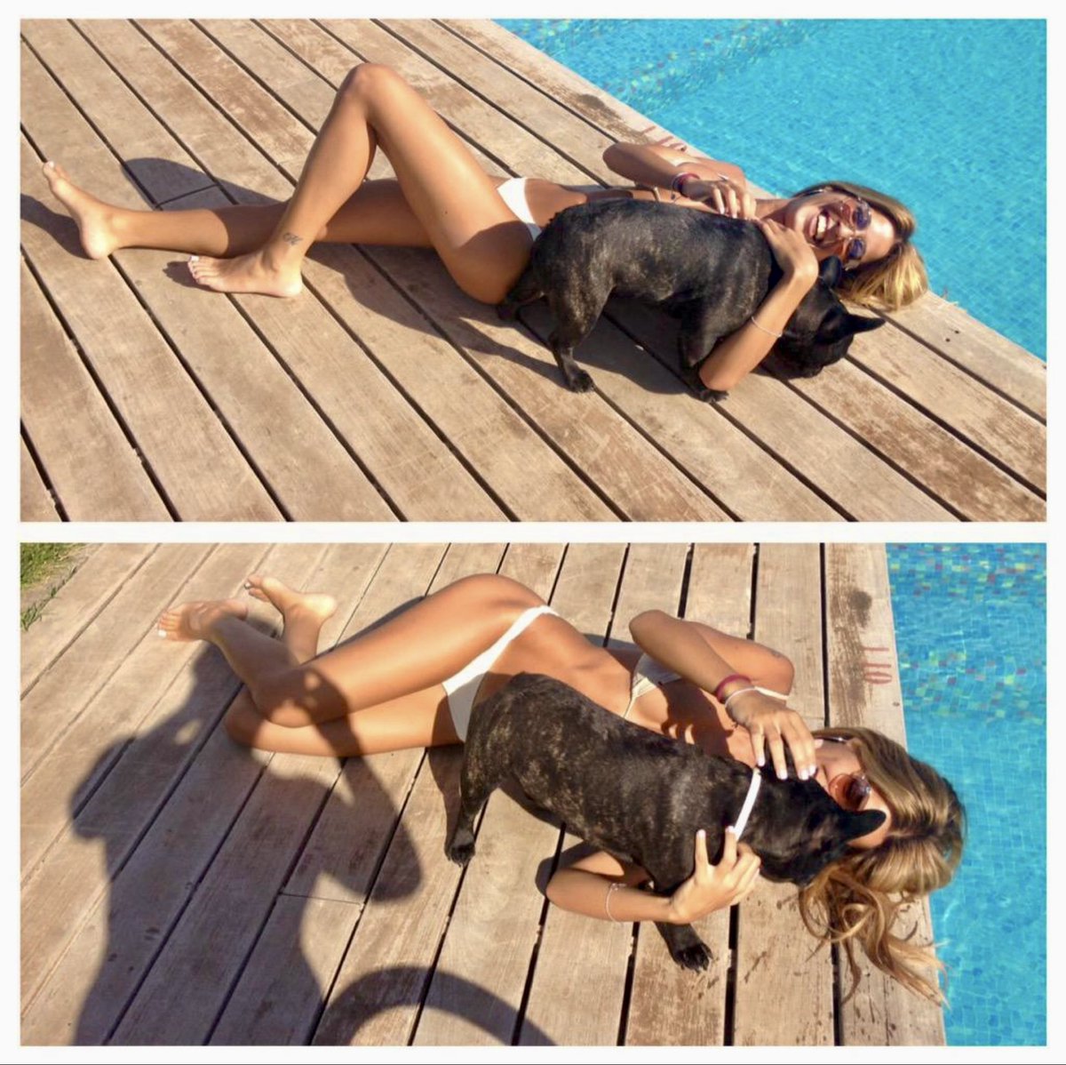 Vercellini97051's tweet photo. Casanova🐾🥹🤍
#orianamarzoli https://t.co/ZTPZxOL5Gl