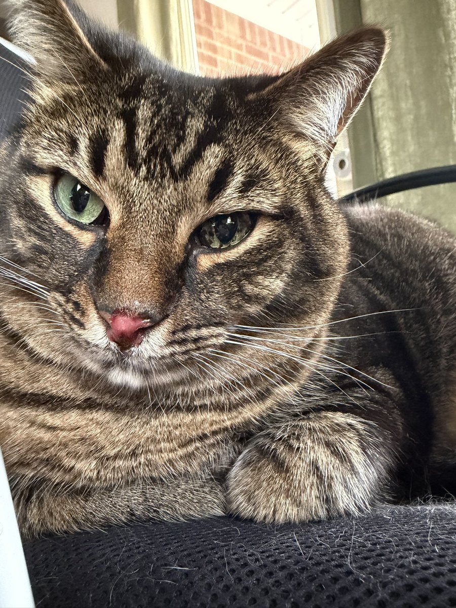 うめちゃん🇯🇵🇺🇸 (@kikilunanoah) / Posts / X