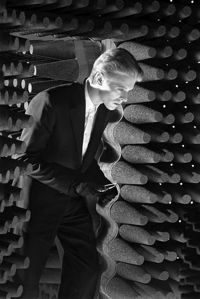 David Bowie News tweet media