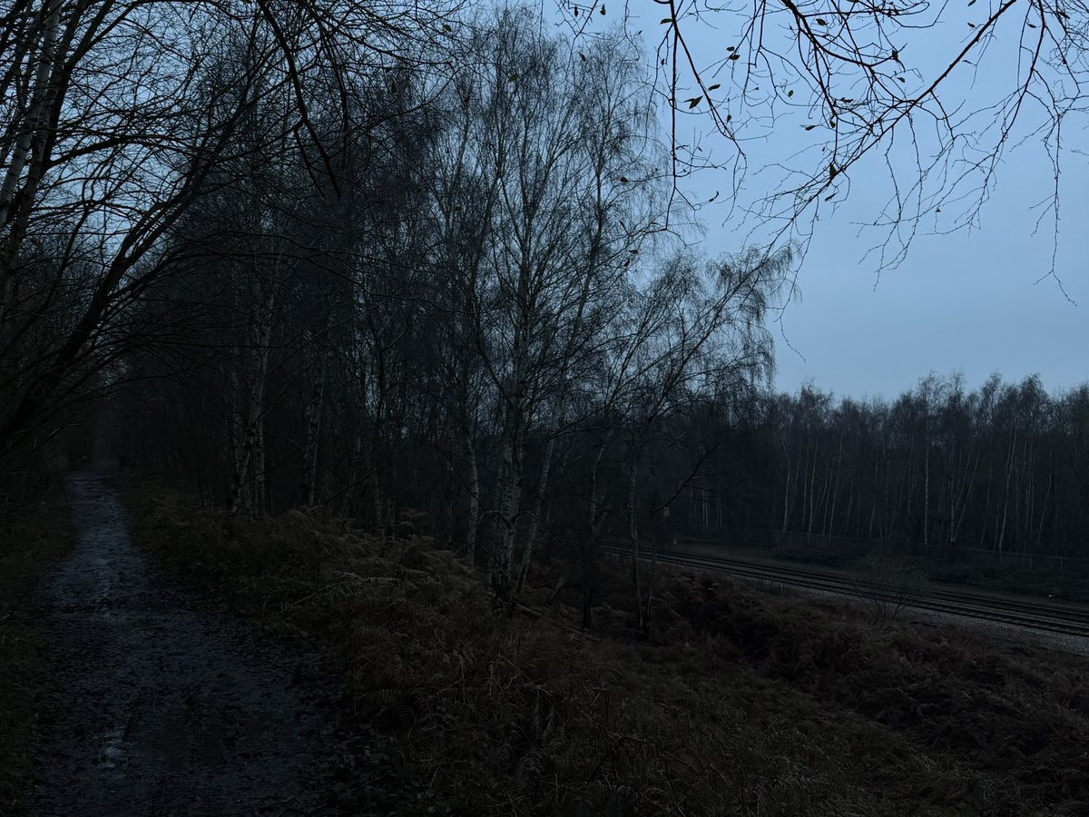 rly cool girl tweet media