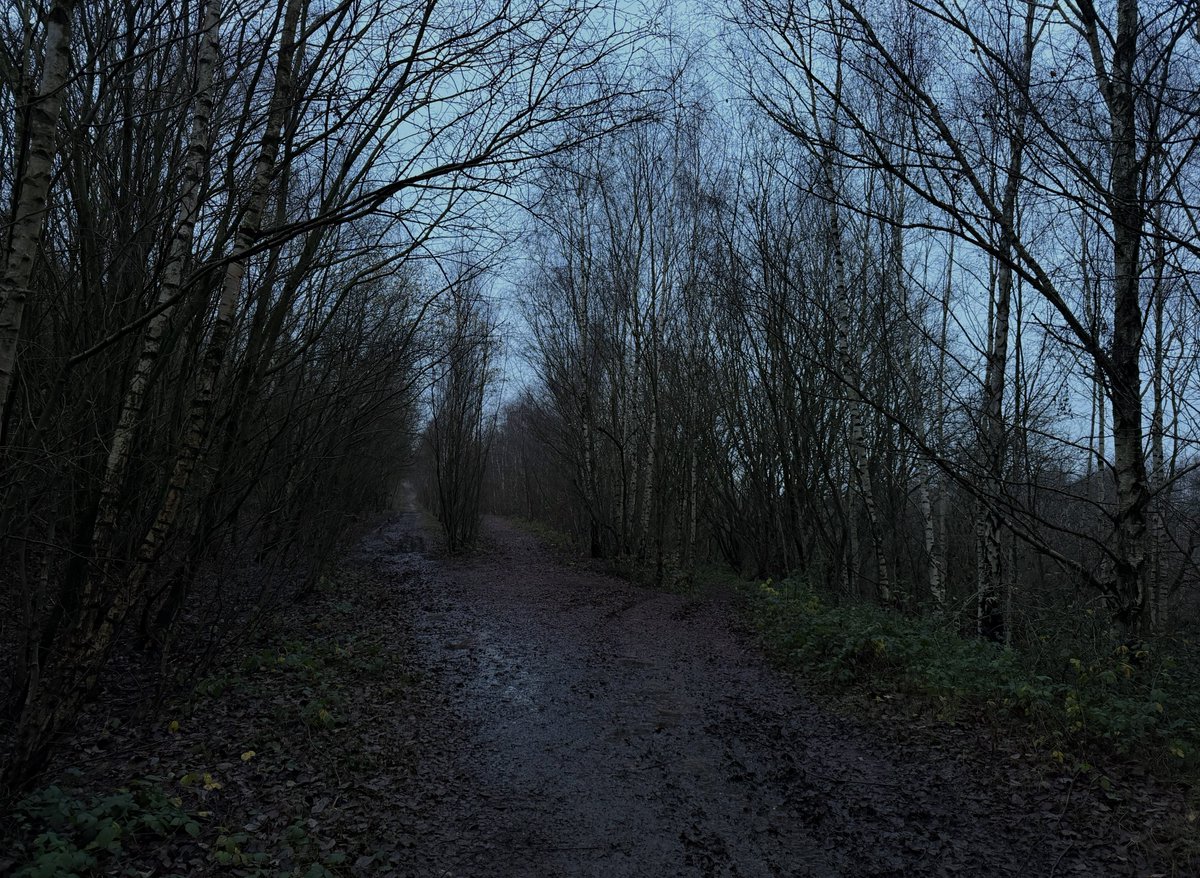 rly cool girl tweet media