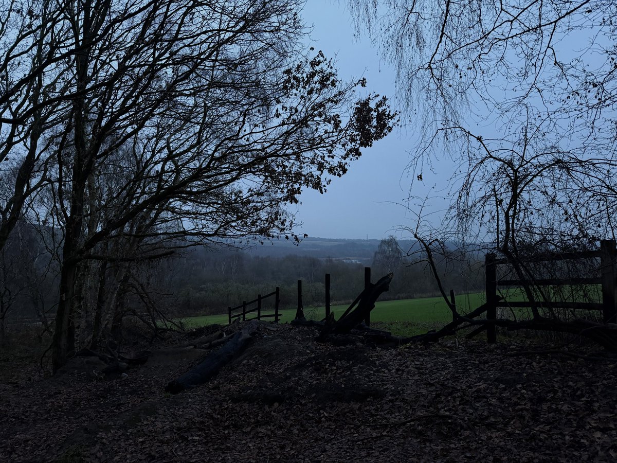 rly cool girl tweet media