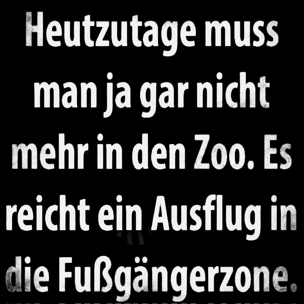 𝓐𝓷𝓷𝓲 🇩🇪🕊 tweet media
