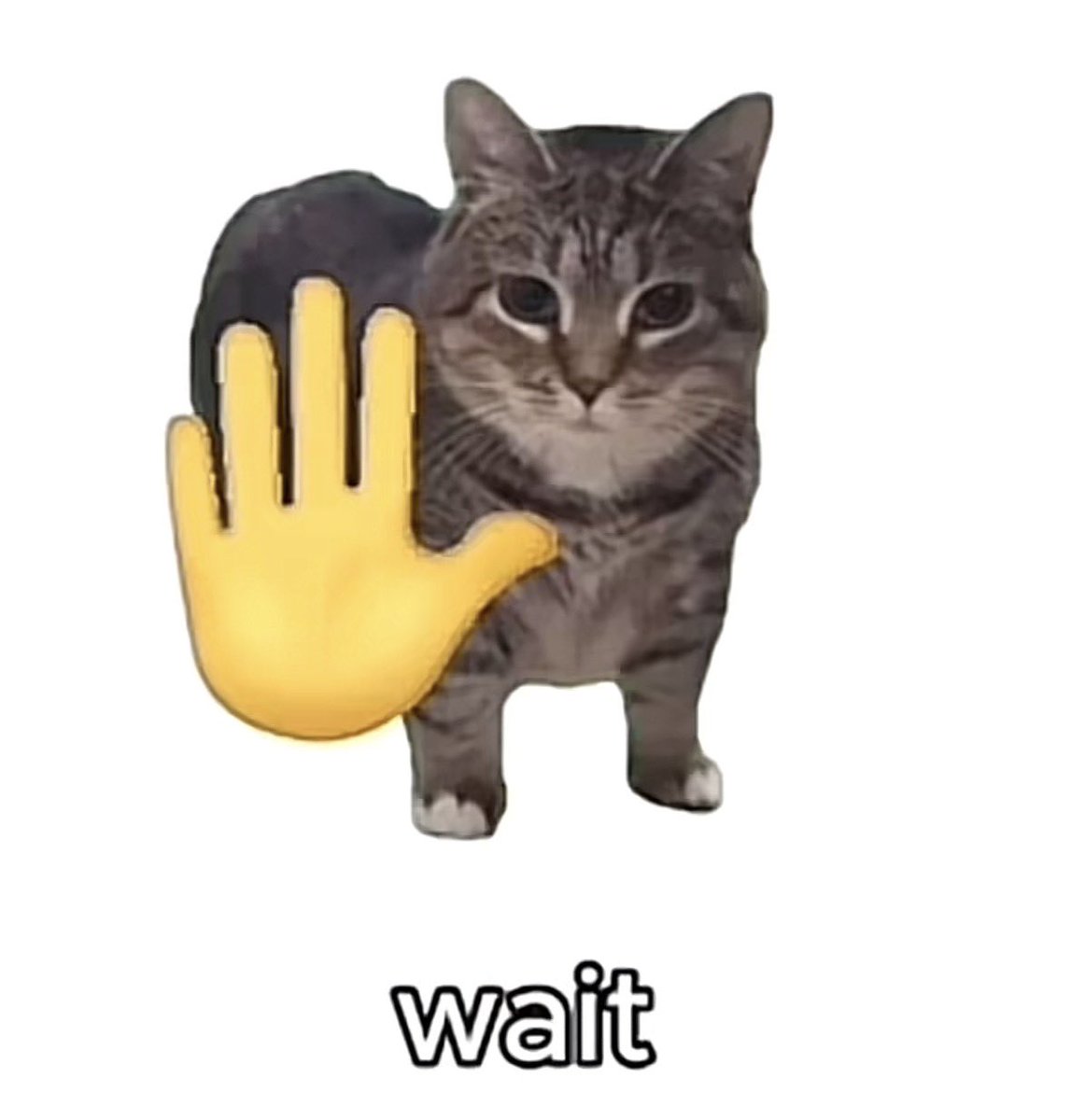 Cristopher tweet media