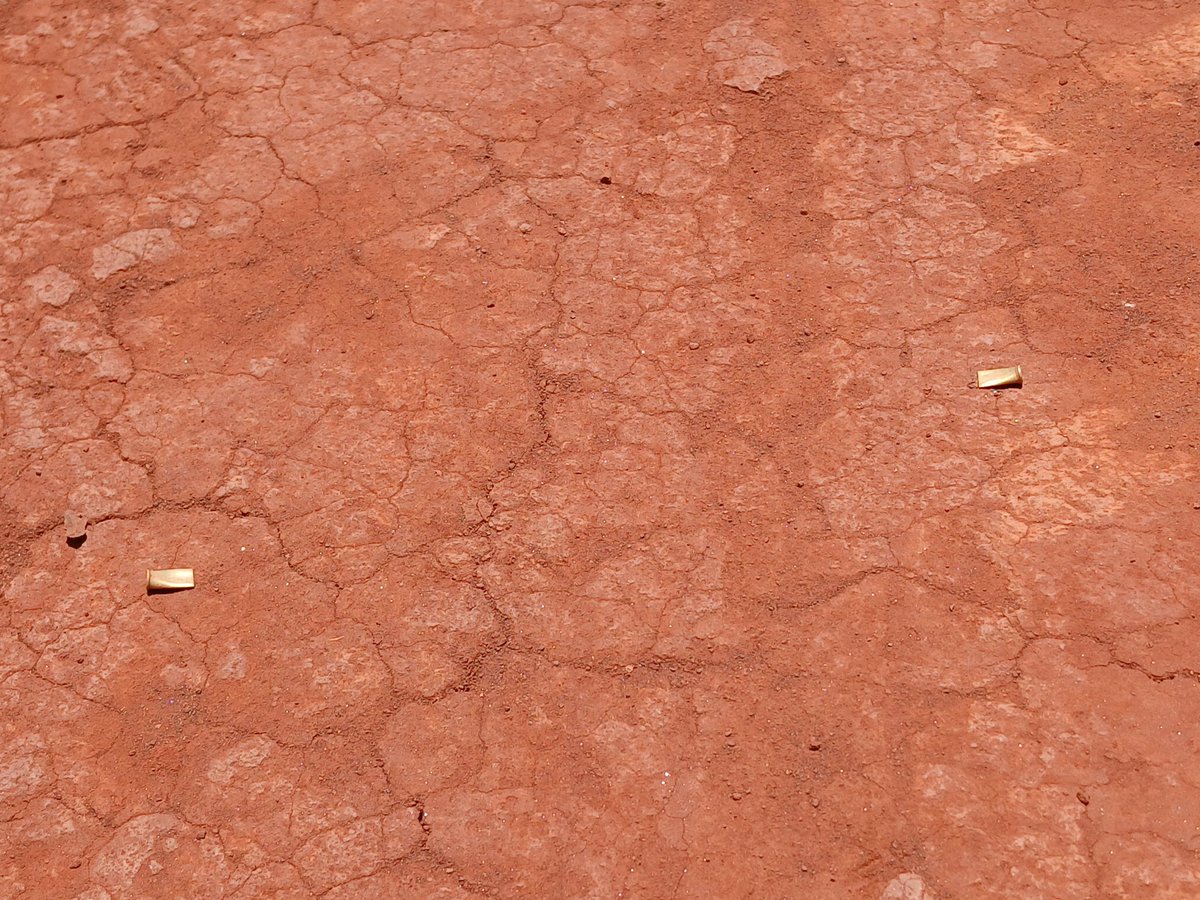 Codehupy tweet media