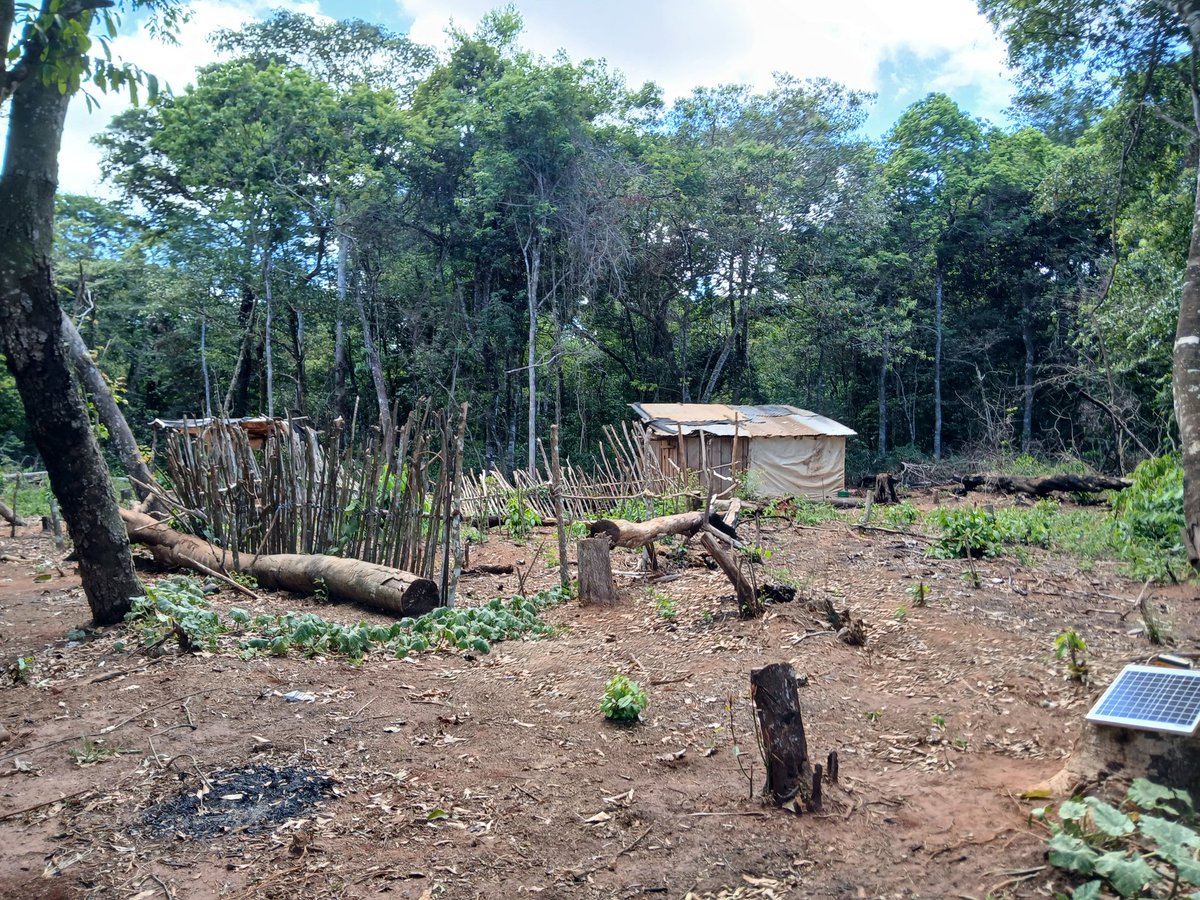 Codehupy tweet media