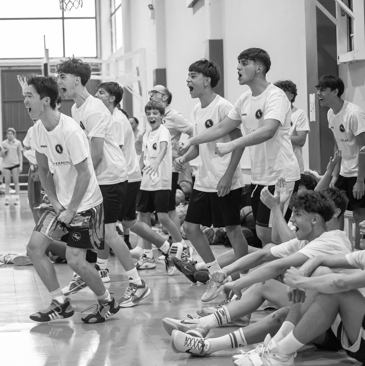 Campus Álex Llorca tweet media