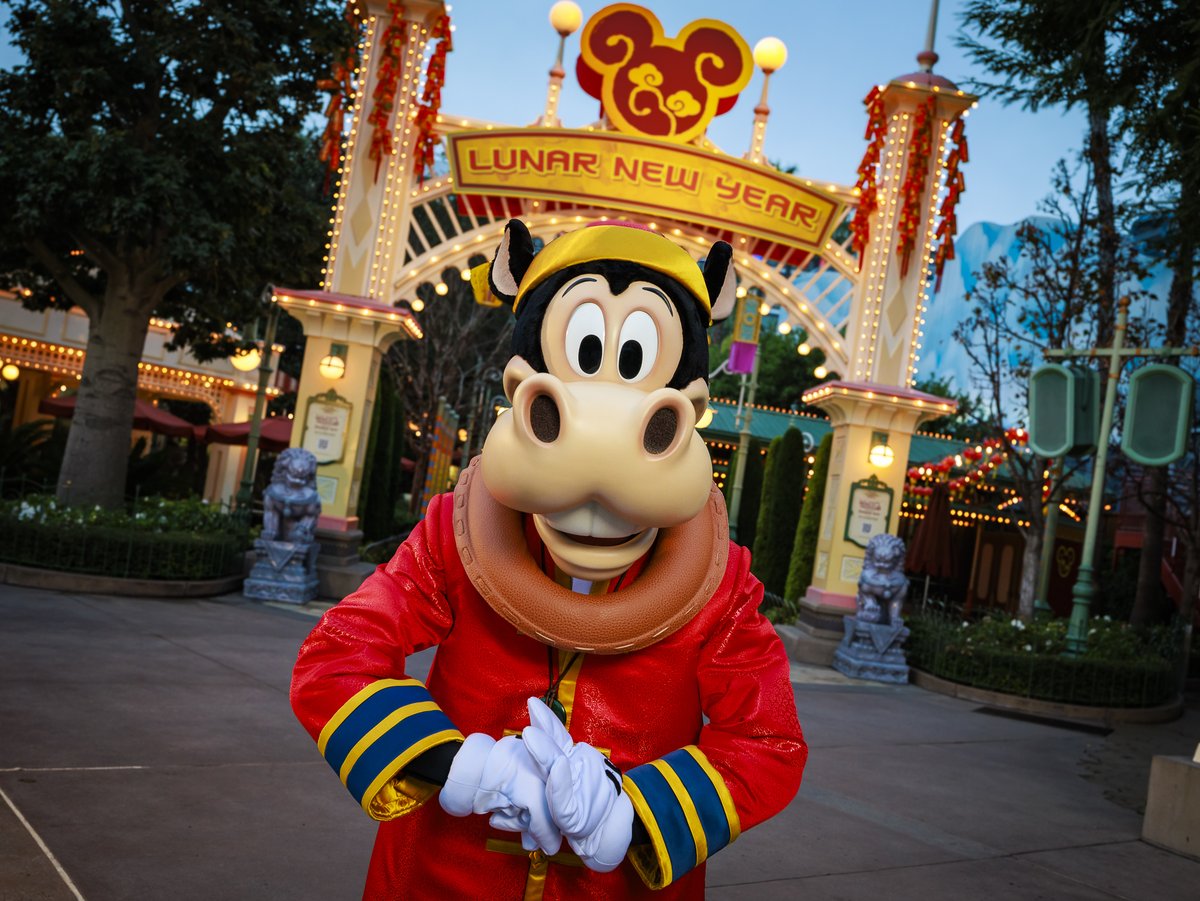 フロリダディズニー限定　新品 フロリダディズニー限定 新品