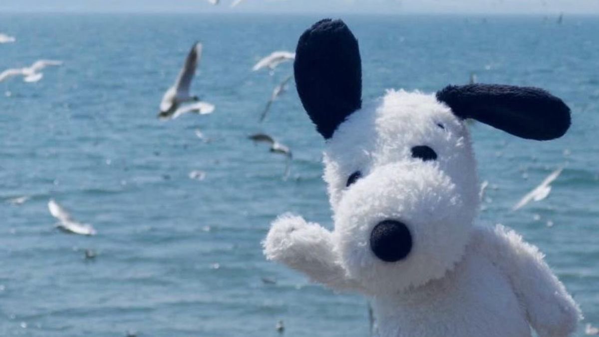 gir1genius's tweet image. 