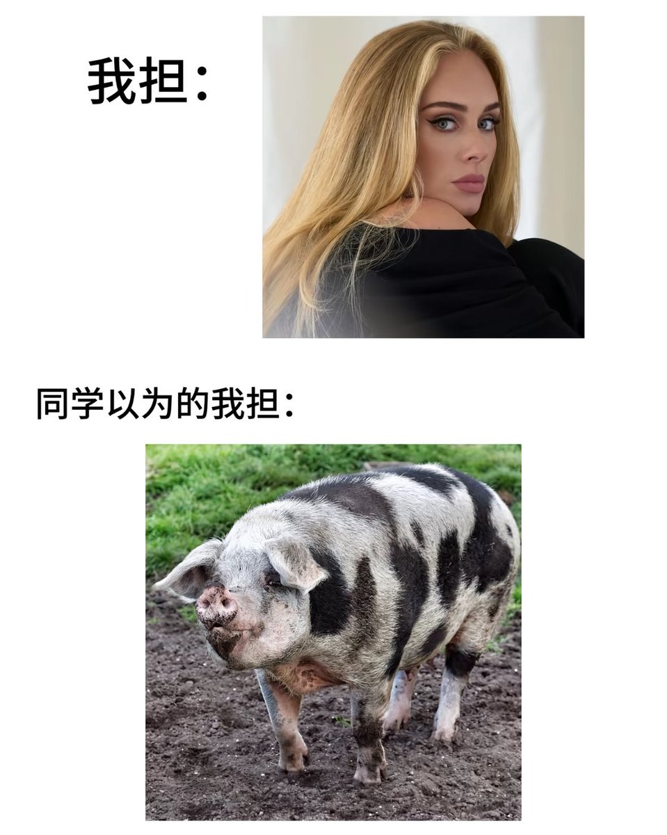 老如葱烩 tweet media