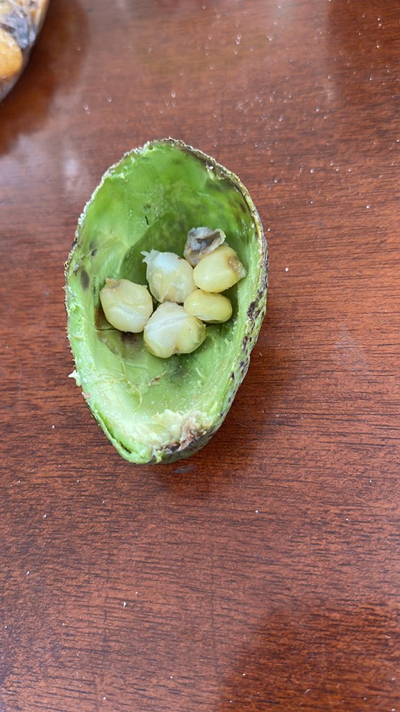 Mote y aguacate 🤤🤤 no están preparados para este manjar 😍😍😍