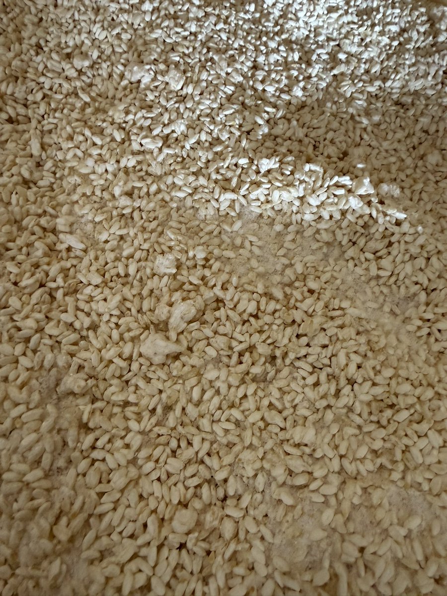 sato_miso's tweet photo. 本日から今年度の味噌の仕込みが始まります！かなり寒い中での作業になりますが、頑張ります！

#民宿大原の里
#大原温泉
#味噌庵
#日帰り温泉
#鯖の味噌煮
#京都大原 https://t.co/yE8aAll7hl